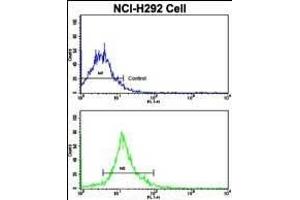 Flow cytometric analysis of NCI- cells using SOX2 Antibody (N-term)(bottom histogram) compared to a negative control cell (top histogram). (SOX2 antibody  (N-Term))