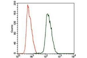 Flow cytometric analysis of HeLa cells using ALDH2 mouse mAb (green) and negative control (purple). (ALDH2 antibody  (AA 317-517))