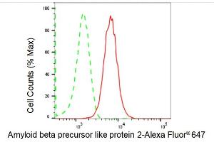 Flow cytometric analysis of Amyloid beta precursor like protein 2 expression in HepG2 cells using Amyloid beta precursor like protein 2 antibody (ABIN7797595), 1:2,000).