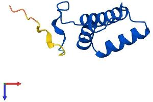 AlphaFold protein structure predicition of Mouse Recombinant Cox6b2 Protein, UniprotID Q80ZN9 (COX6B2 Protein (AA 1-88) (His tag))