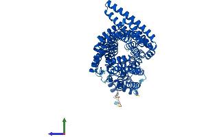 Protein Structure (PS) image for Tetratricopeptide Repeat Domain 30A (TTC30A) (AA 1-665) protein (His tag) (ABIN7544931)