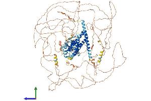 Protein Structure (PS) image for Synergin gamma (SYNRG) (AA 1-1306) protein (His tag) (ABIN7563843)