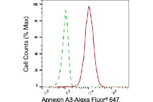 Flow cytometric analysis of Annexin A3 expression in HepG2 cells using Annexin A3 antibody (ABIN7797619), 1:2,000). (Annexin A3 antibody)