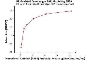 Immobilized Biotinylated Cynomolgus FAP, His,Avitag (ABIN6992328) at 1 μg/mL (100 μL/well) on streptavidin  precoated (0.