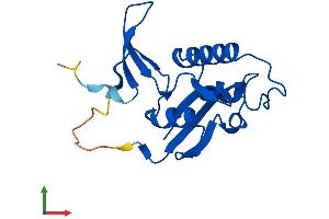 AlphaFold protein structure predicition of Human Recombinant PIN1 Protein, UniprotID Q13526 (PIN1 Protein (AA 1-163) (His tag))
