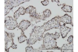 Immunoperoxidase of monoclonal antibody to S100A11 on formalin-fixed paraffin-embedded human placenta. (S100A11 antibody  (AA 1-105))