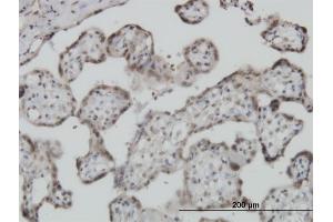 Immunoperoxidase of monoclonal antibody to S100A11 on formalin-fixed paraffin-embedded human placenta. (S100A11 antibody  (AA 1-105))