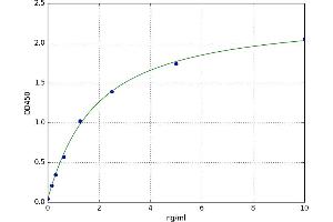 Muscle, Skeletal, Receptor Tyrosine Kinase (MUSK) ELISA Kit