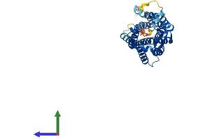 AlphaFold protein structure predicition of Human Recombinant FPR2 Protein, UniprotID P25090