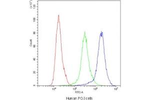 Flow Cytometry (FACS) image for anti-2-Aminoethanethiol (Cysteamine) Dioxygenase (ADO) antibody (ABIN5647727)
