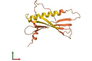 AlphaFold protein structure predicition of Human Recombinant IGF2BP2-AS1 Protein, UniprotID Q96M15 (C3orf65 Protein (AA 1-143) (His tag))