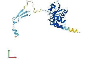 AlphaFold protein structure predicition of Human Recombinant DUSP19 Protein, UniprotID Q8WTR2 (DUSP19 Protein (AA 1-217) (His tag))