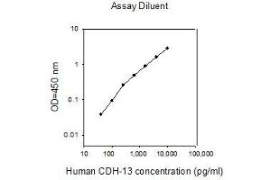 Cadherin 13 ELISA Kit