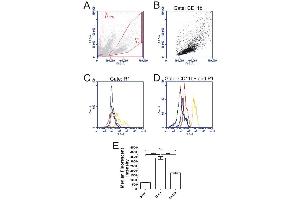 Flow Cytometry (FACS) image for anti-COL1A2/COL1A1 antibody (ABIN5596819)