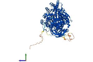 AlphaFold protein structure predicition of Mouse Recombinant Erap1 Protein, UniprotID Q9EQH2 (ERAP1 Protein (AA 1-930) (His tag))
