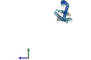 Protein Structure (PS) image for Vesicle Transport through Interaction with t-SNAREs 1A (VTI1A) (AA 1-217) protein (His tag) (ABIN7545123)