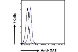 ABIN308409 Flow cytometric analysis of paraformaldehyde fixed Kelly cells (blue line), permeabilized with 0. (Znf423 antibody  (N-Term))