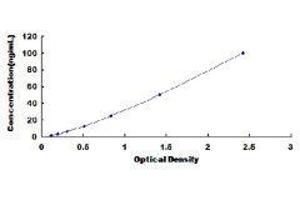 Protein C Receptor, Endothelial (PROCR) ELISA Kit
