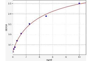 Coronin 1a ELISA Kit