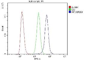 Flow Cytometry analysis of K562 cells using anti-IRF3 antibody (ABIN7601885).
