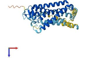 AlphaFold protein structure predicition of Human Recombinant OR5K3 Protein, UniprotID A6NET4 (OR5K3 Protein (AA 1-321) (His tag))