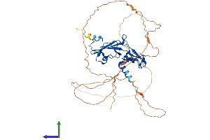 AlphaFold protein structure predicition of Human Recombinant GCM1 Protein, UniprotID Q9NP62 (GCM1 Protein (AA 1-436) (His tag))