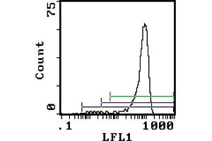 Rat anti Granulocytes (Gr-1 antigen) RB6-8C5 (Ly6g antibody)