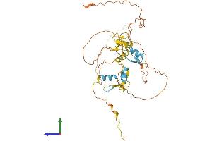 AlphaFold protein structure predicition of Mouse Recombinant Scrt1 Protein, UniprotID Q99M85 (SCRT1 Protein (AA 1-348) (His tag))
