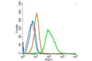 Human Raji cells probed with TPOR Polyclonal Antibody, Unconjugated  (green) at 1:100 for 30 minutes followed by a PE conjugated secondary antibody compared to unstained cells (blue), secondary only (light blue), and isotype control (orange). (MPL antibody  (AA 401-500))