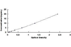 NKX6-1 ELISA Kit