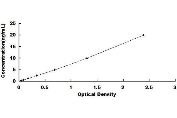 NKX6-1 ELISA Kit