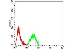 Flow cytometric analysis of Raji cells using CD11C mouse mAb (green) and negative control (red). (CD11c antibody  (AA 102-279))