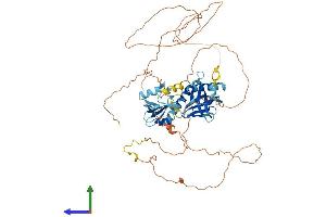 AlphaFold protein structure predicition of Mouse Recombinant Shc4 Protein, UniprotID Q6S5L9 (SHC4 Protein (AA 1-626) (His tag))