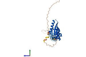 AlphaFold protein structure predicition of Mouse Recombinant Kctd7 Protein, UniprotID Q8BJK1
