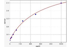 Chemokine (C-C Motif) Ligand 22 (CCL22) ELISA Kit