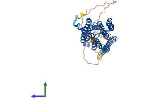AlphaFold protein structure predicition of Human Recombinant GPR84 Protein, UniprotID Q9NQS5