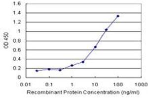 Sandwich ELISA detection sensitivity ranging from 1 ng/mL to 100 ng/mL. (NFKBIB (Human) Matched Antibody Pair)