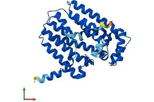 AlphaFold protein structure predicition of Mouse Recombinant Ggps1 Protein, UniprotID Q9WTN0 (GGPS1 Protein (AA 1-300) (His tag))