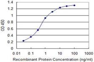Detection limit for recombinant GST tagged AMELX is 0. (AMELX antibody  (AA 93-191))
