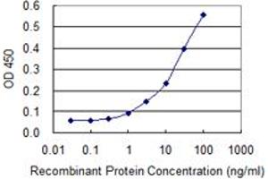 Detection limit for recombinant GST tagged ICT1 is 0. (ICT1 antibody  (AA 107-206))