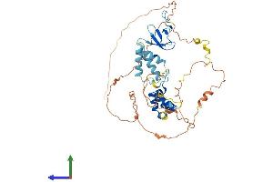 AlphaFold protein structure predicition of Human Recombinant FBXO5 Protein, UniprotID Q9UKT4