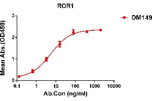 ELISA plate pre-coated by 1 μg/mL (100 μL/well) Human ROR1 protein, His tagged protein ((ABIN6964103, ABIN7042461 and ABIN7042462)) can bind Rabbit anti-ROR1 monoclonal antibody(clone: DM149) in a linear range of 1-50 ng/mL. (ROR1 antibody  (AA 30-403))
