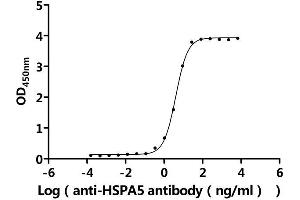 Measured by its binding ability in a functional ELISA.