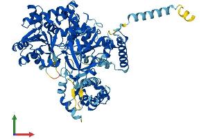 AlphaFold protein structure predicition of Human Recombinant ACSL5 Protein, UniprotID Q9ULC5 (ACSL5 Protein (AA 1-683) (His tag))