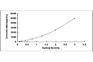 Typical standard curve (ARL15 ELISA Kit)