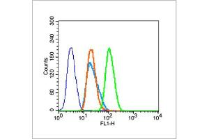 HeLa cells were fixed with 4% PFA for 10min at room temperature, permeabilized with 90% ice-cold methanol for 20 min at room temperature, and incubated in 5% BSA blocking buffer for 30 min at room temperature. (Histone 3 antibody  (H3K36me2))