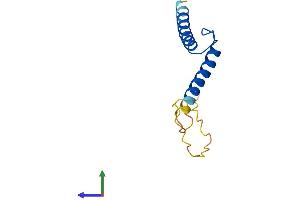 AlphaFold protein structure predicition of Mouse Recombinant Tal2 Protein, UniprotID Q62282 (TAL2 Protein (AA 1-108) (His tag))