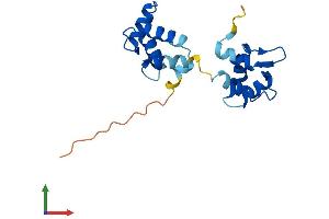 AlphaFold protein structure predicition of Human Recombinant MYL12A Protein, UniprotID P19105