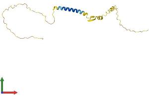 Protein Structure (PS) image for Neuron-Specific Protein Family Member 2 (HMP19) (AA 1-171) protein (His tag) (ABIN7563291)