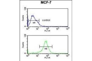 DIO2 Antibody (Center) (ABIN652664 and ABIN2842445) flow cytometric analysis of MCF-7 cells (bottom histogram) compared to a negative control cell (top histogram). (DIO2 antibody  (AA 165-191))